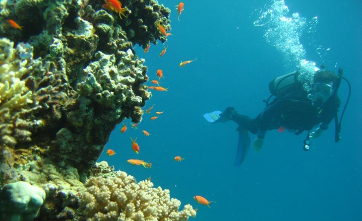 điểm lặn Jubilee Shoals 
